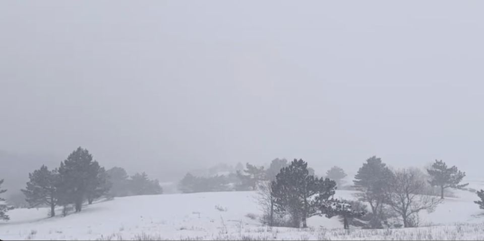 �� 15 ������ � ����� ����� ���������� ���������
