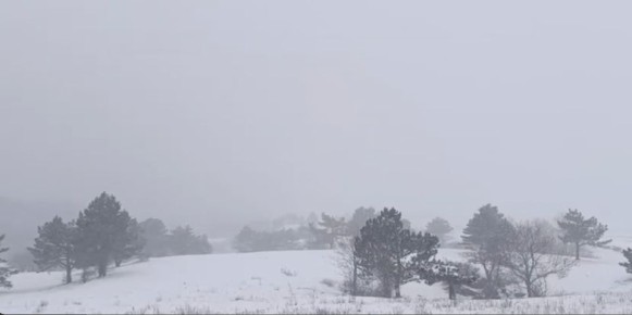 �� 15 ������ � ����� ����� ���������� ���������