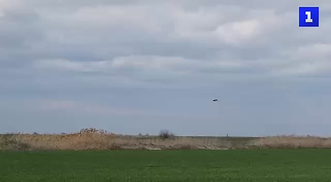 Сезон гнездования: в Херсонскую область прилетели аисты