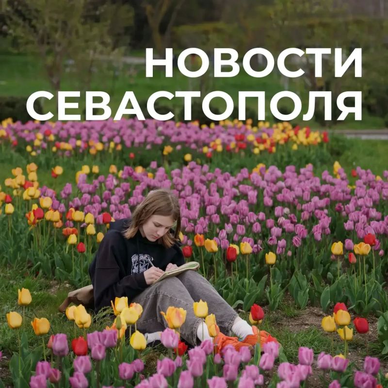������ ���������: ������� � �������:. �������� �����