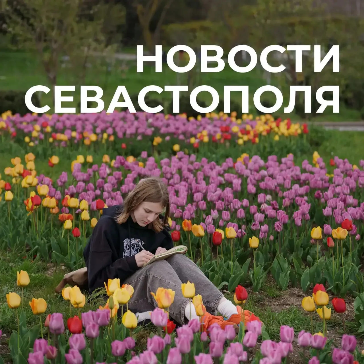 Михаил Развожаев: Коротко о главном:. Усиление линий