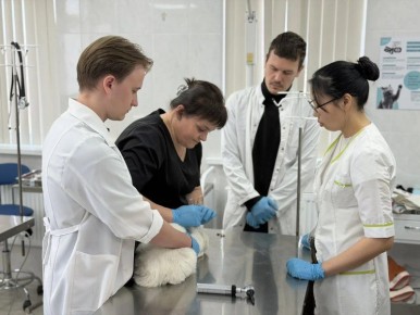 Студенты проходят практику в госветслужбе Севастополя