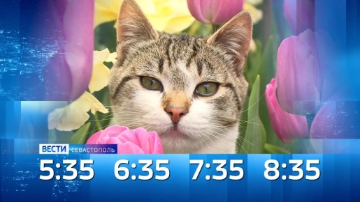 ������ ������������ ���� 15 ������ 2026 ����