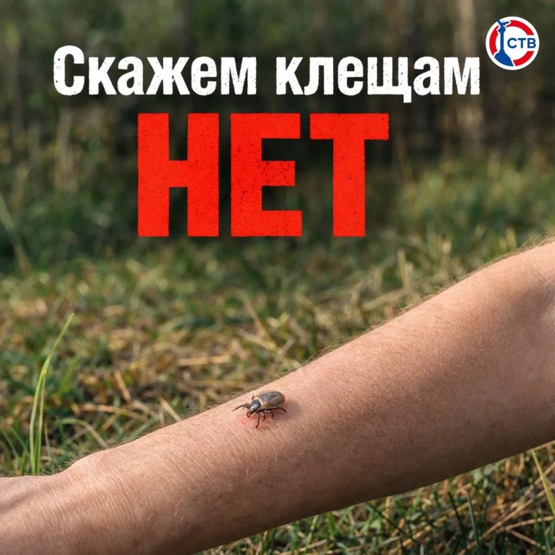 ����� ���������������� � ����� � �����������