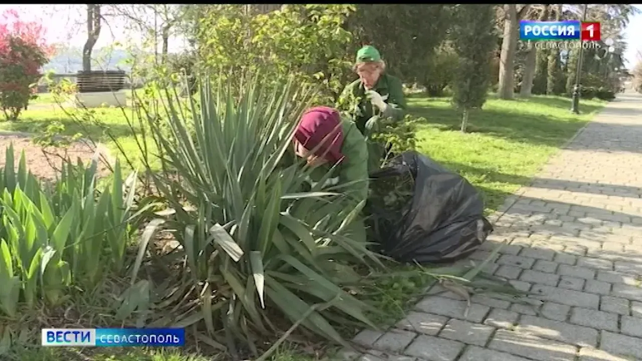 Сквер имени Василия Бузина в Севастополе приведут в порядок