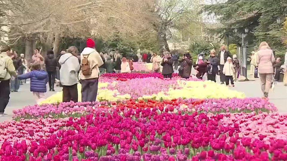 � ����������� ���� ������ �������� ����� �������� �����: �� �������, � ������, ����� ����������� ����