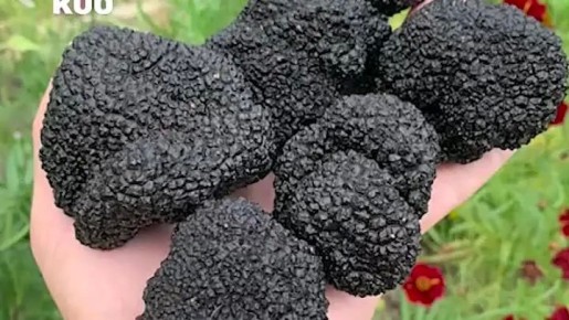 ����� ������ ������ ������� ����� � �����