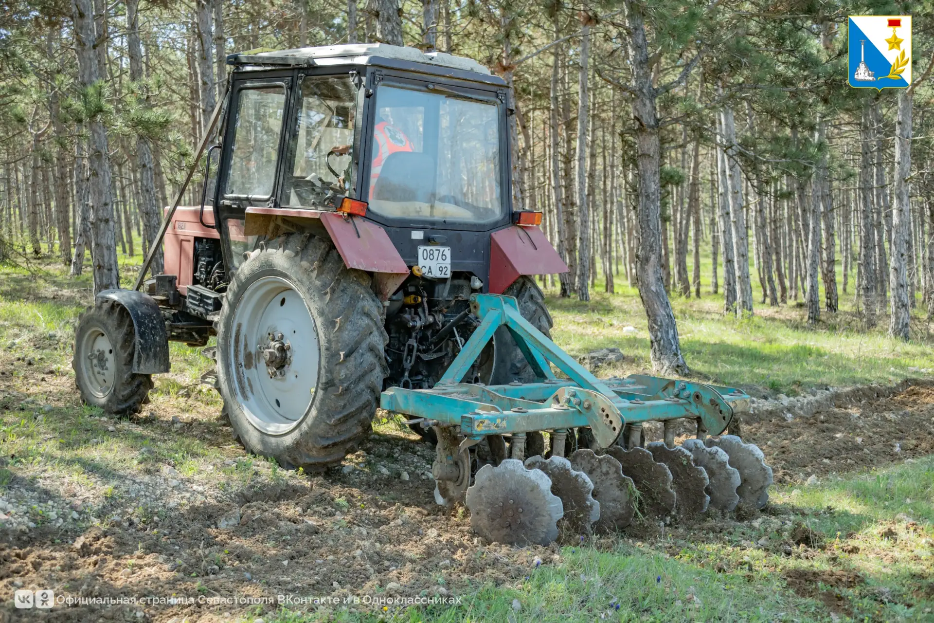 Сотрудники лесничеств обновляют минерализованные полосы в Севастополе — барьеры для огня