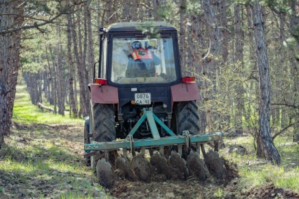 В лесах Севастополя обновляют противопожарные барьеры