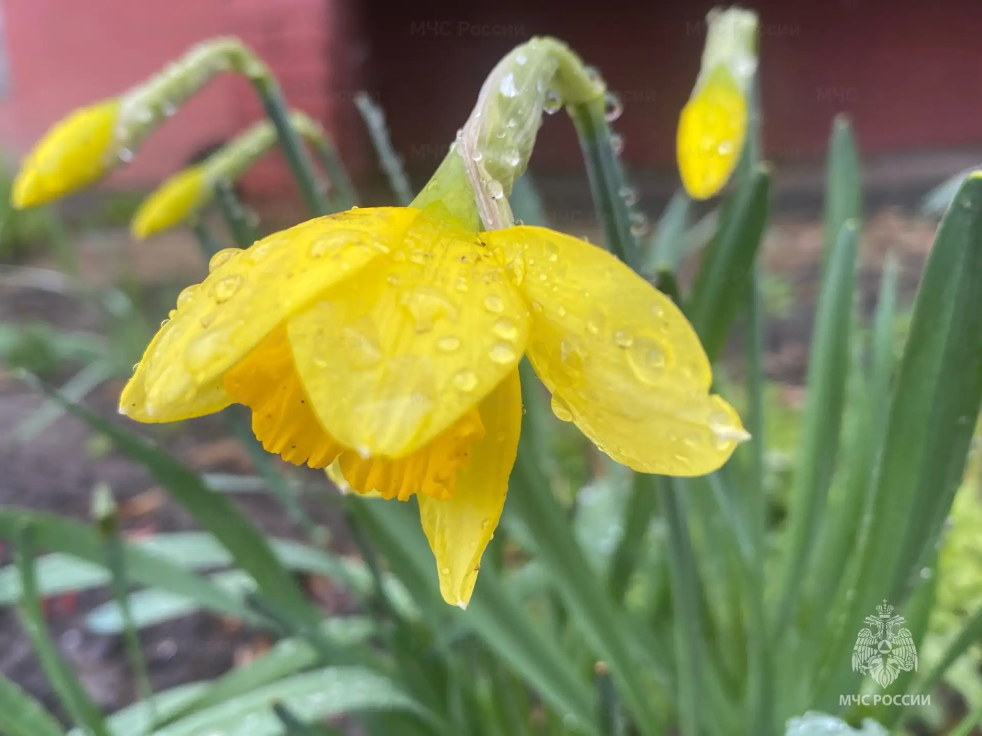 В пятницу в регионе ожидаются кратковременные дожди