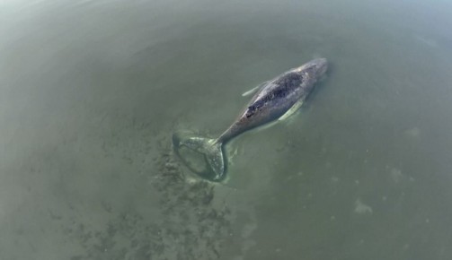 � �������� �������� �������� �� �������� ���� �����