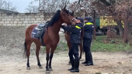 ������ ������� ����������� ����� ��������� ���� �� ����� ������ ��� � �����