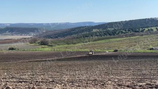 594 �������� ������ �������� �� ��������� �������������� � �����������