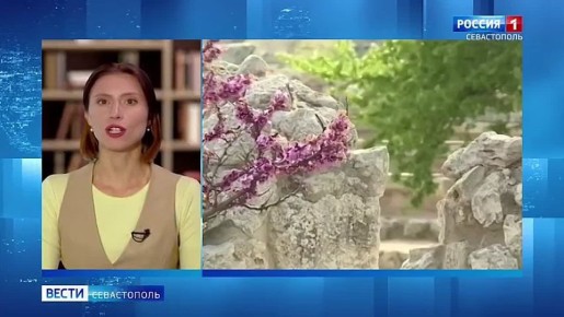 ��� ���������� ���������� � �������� ���������?