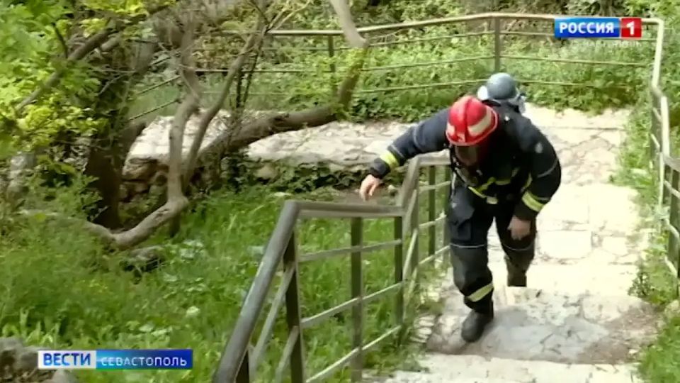 � ����������� ��������� ������������ �����