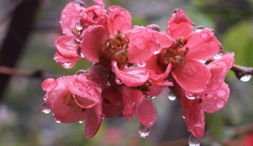 ������� ������ �� �������� � �����: ��� ����� ���� � �����, � ��� ����� ������