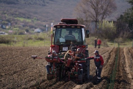 � ������������ ������ ��������� ������������