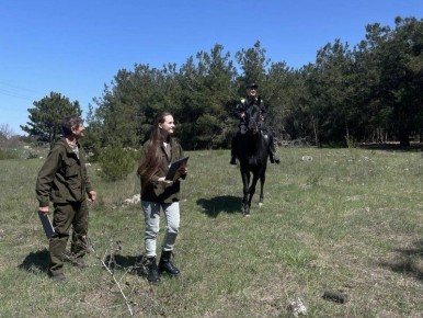 � ����������� ������� ������ ����