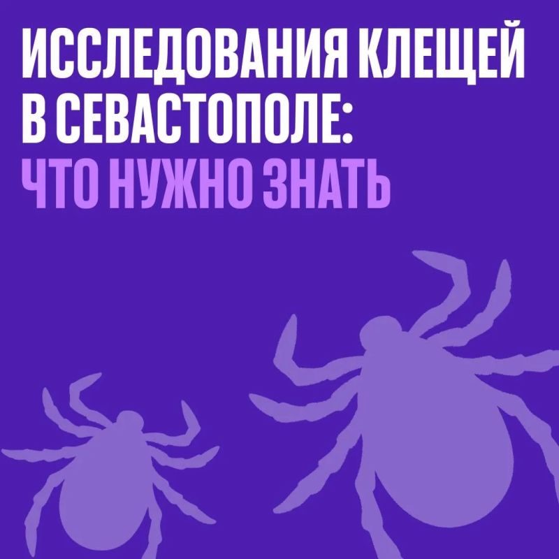 ������ ���������: � ����������� ��� ��������� ������, ������� � ��� ������ �� ������