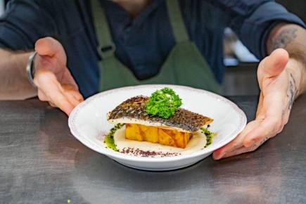 � ����������� ������������ ������������ ����� � ������ ����������������� ���������