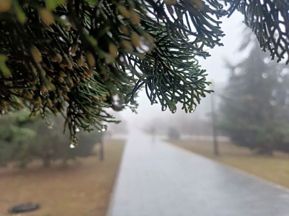 �������� ���������� ����� �������: � ����������� ����� � �����