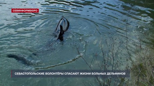 ��������������� �������� ������� �� ����� �������� �����