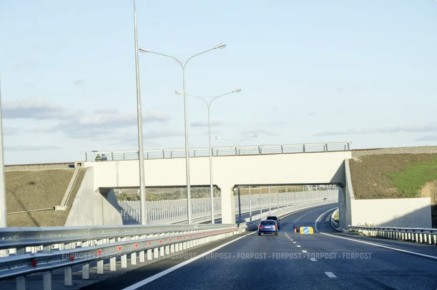 ������� ������ �������� �� ����������� �� ����������� �������� �������� ������������ ����������