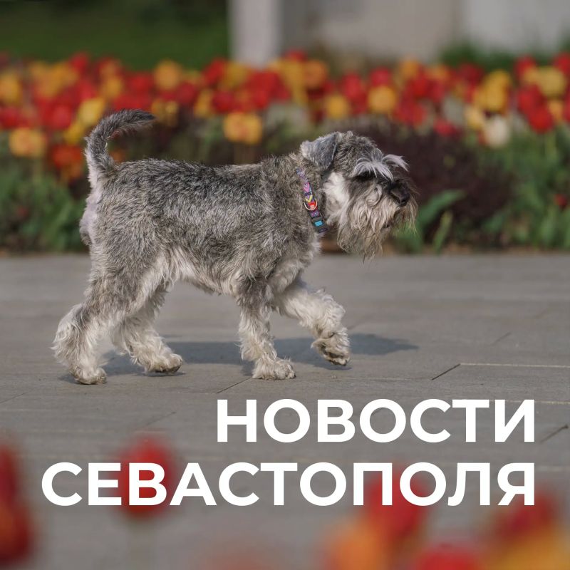������ ���������: ������� � �������:. ������� �������� ����� ���