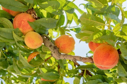 � ����������� ����������� ����� ���� ��������� ��������� ������������