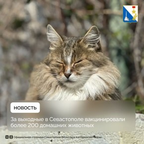 �� �������� � ��������� �� ��������� ������������� 212 �������� ��������