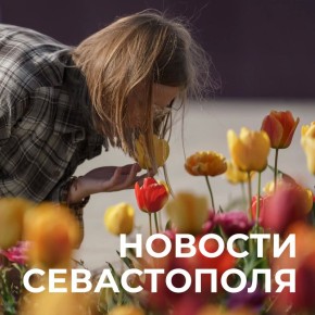 ������ ���������: ������� � �������:. � ���� �� ����������� ������� �������� ���� �� ����� ������������� ���� ��� �� �����������