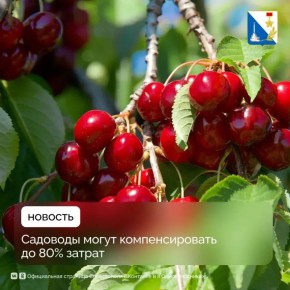 ������������ ��������� � ����������� ����������� ����� ��� �����