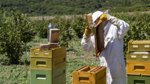 ��������������� ���������� ��������� ���������