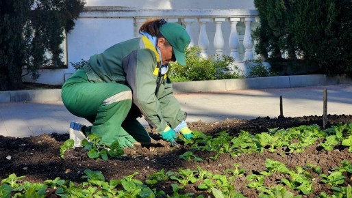 � ������ ��������� ������