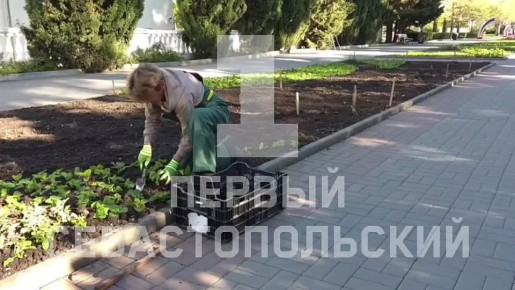 �� ������� ����������� �������� ���������� ������ ����� ������ ��������, ������� ��� �������