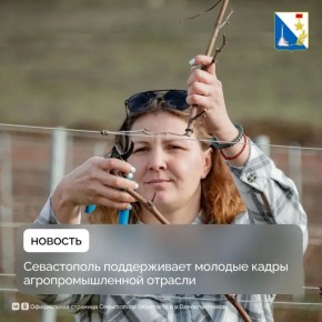 ������� ����������� ��� ����������� ������� �� 250 ����� ������ �������������� �������