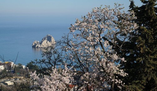 ������, ����� � ������� ������: ������� ������ �� ������ �������� ��� � �����