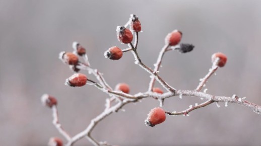 ��� ������������� � ���������� � ����� �� �2�