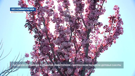 �� ����� �� ������� ��������� ����������� � ���������� � �������� ������� ������