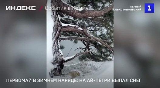 �������� � ������ ������: �� ������� ����� ����