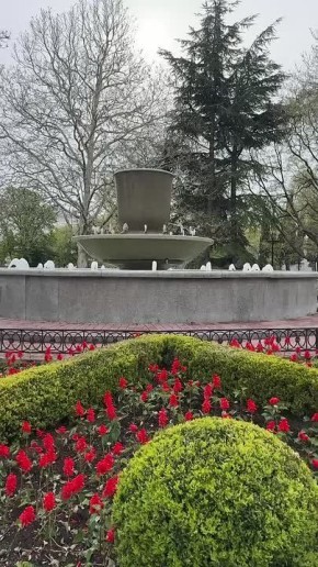 ����� �������� �������� � �����������
