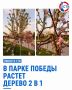 � ����������� �������� ������ ������ � ��� ������ ����� � ���� ������: ���������� �����, ���������� �������