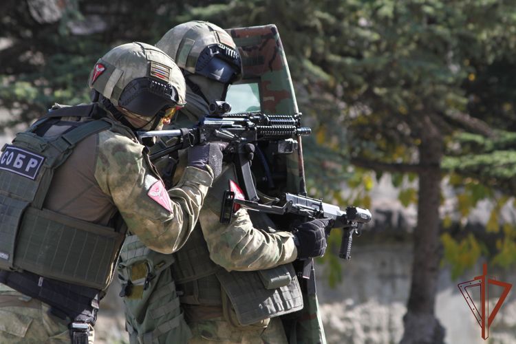 При содействии СОБР Росгвардии задержан подозреваемый за экстремистские лозунги