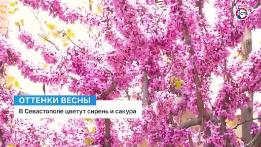 ����������� ������� � �������� ������ � ������