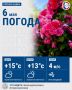 �� ���� ��� ��������� ������, ������ � ׸���� ����� ���������� 53 ���������� ������������