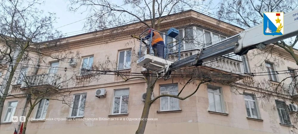 Специалисты быстро убрали опасную ветку после сигнала севастопольцев