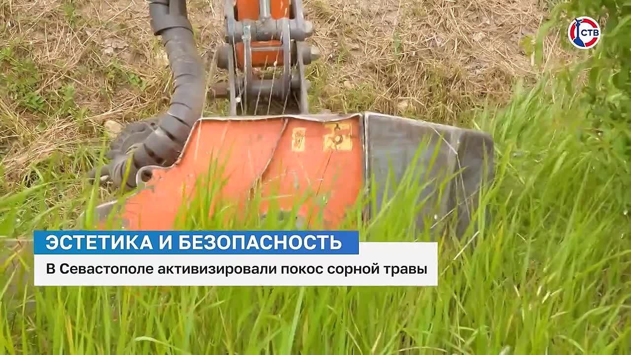 В Севастополе усилили покос травы после дождей