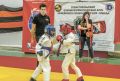 � ����������� ������ ������������� ������������ �� ���������� ����������� ���
