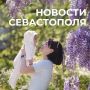 ������ ���������: ������� � �������:. ��������� �����������