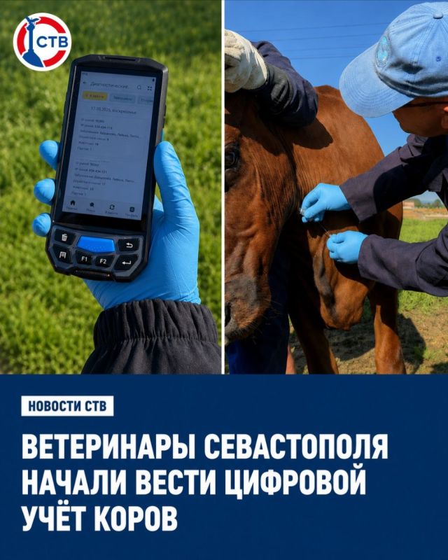 Теперь ветеринары могут считывать QR-коды животных и автоматически получать все данные – от вакцинации до документов на перевозку, сообщил губернатор Михаил Развожаев
